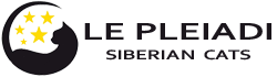LogoPleiadi_Header